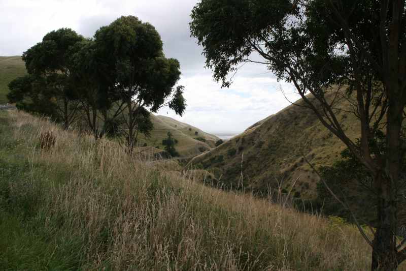 Nieuw-Zeeland 2011 - 1068